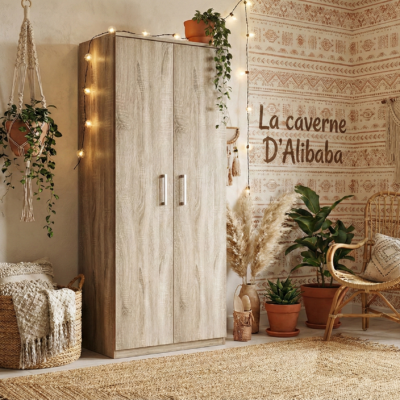 Armoire à chaussures mikey  somona 2 portes